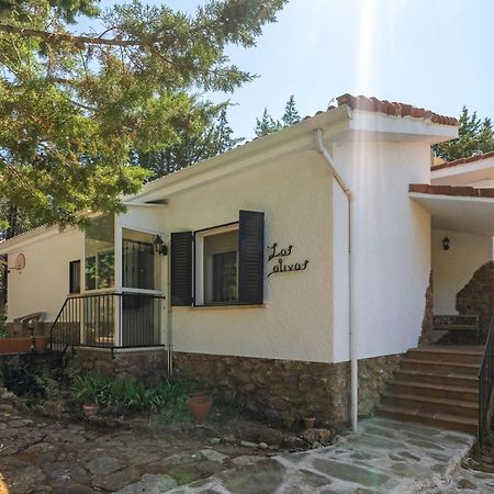 Casa Rural Los Olivos De Robledo De Chavela Ла-Эстасьон Экстерьер фото