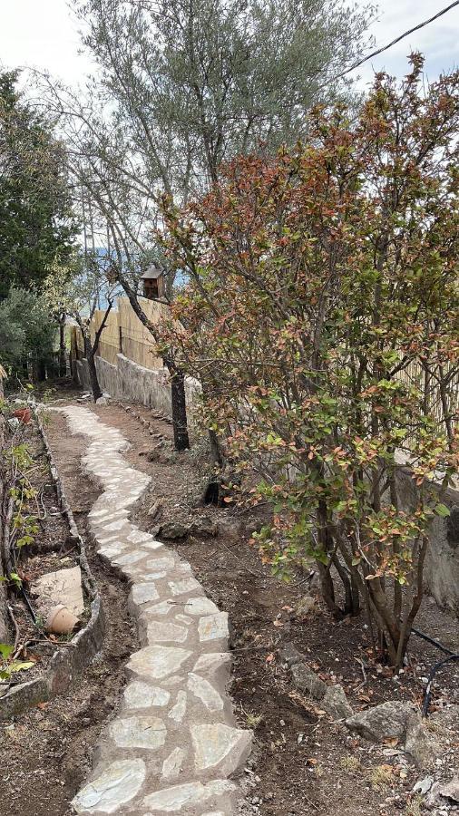 Casa Rural Los Olivos De Robledo De Chavela Ла-Эстасьон Экстерьер фото
