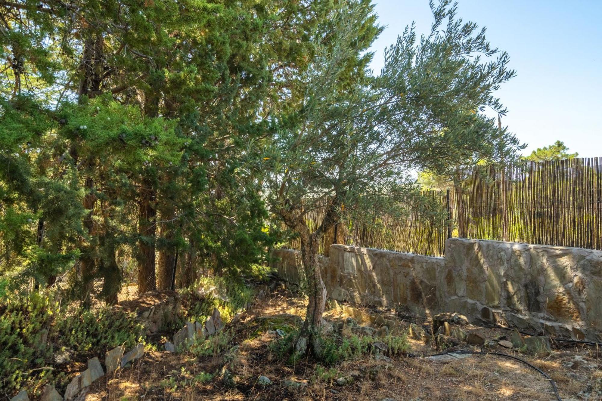 Casa Rural Los Olivos De Robledo De Chavela Ла-Эстасьон Экстерьер фото